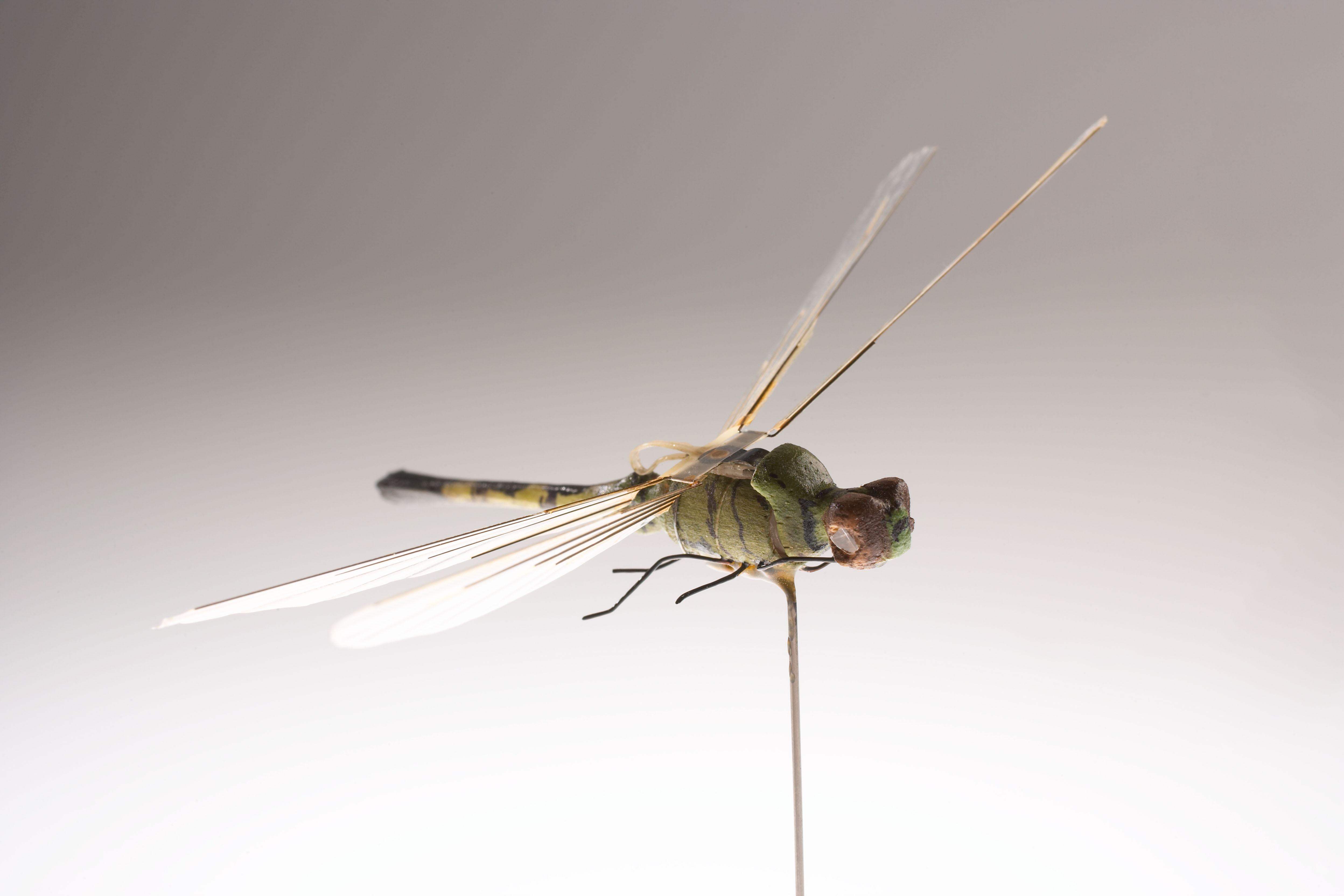 The CIA’s mechanical dragonfly with translucent wings and a dark green body